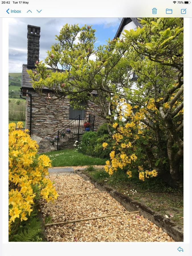 Hares Hideaway At Coed Moelfa Bed and Breakfast Corwen Εξωτερικό φωτογραφία
