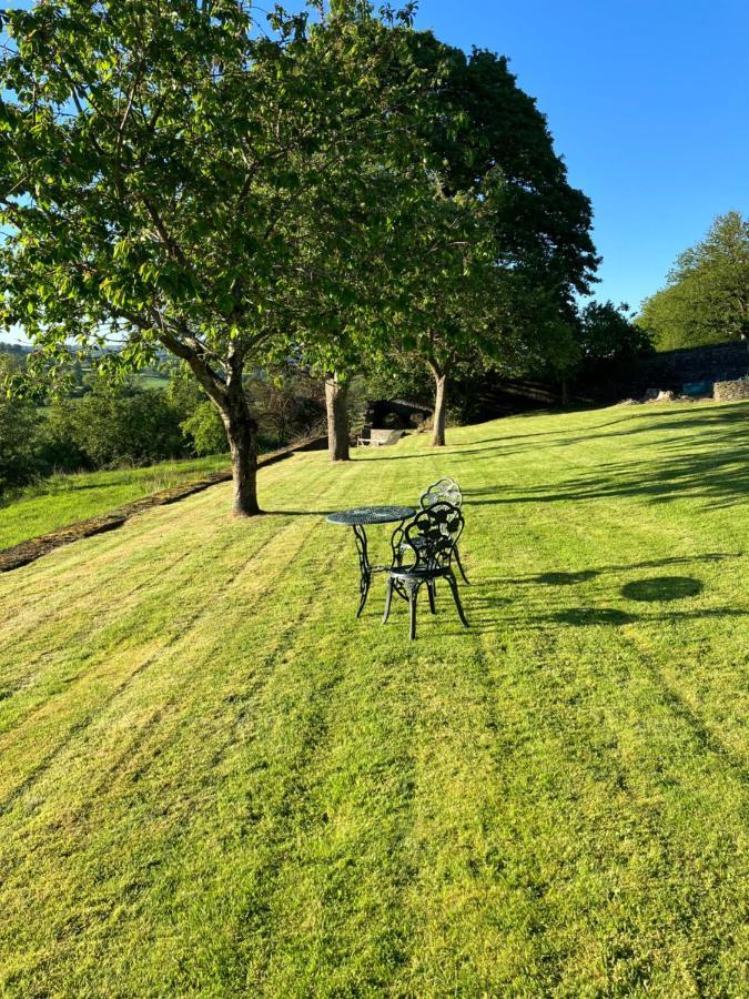 Hares Hideaway At Coed Moelfa Bed and Breakfast Corwen Εξωτερικό φωτογραφία