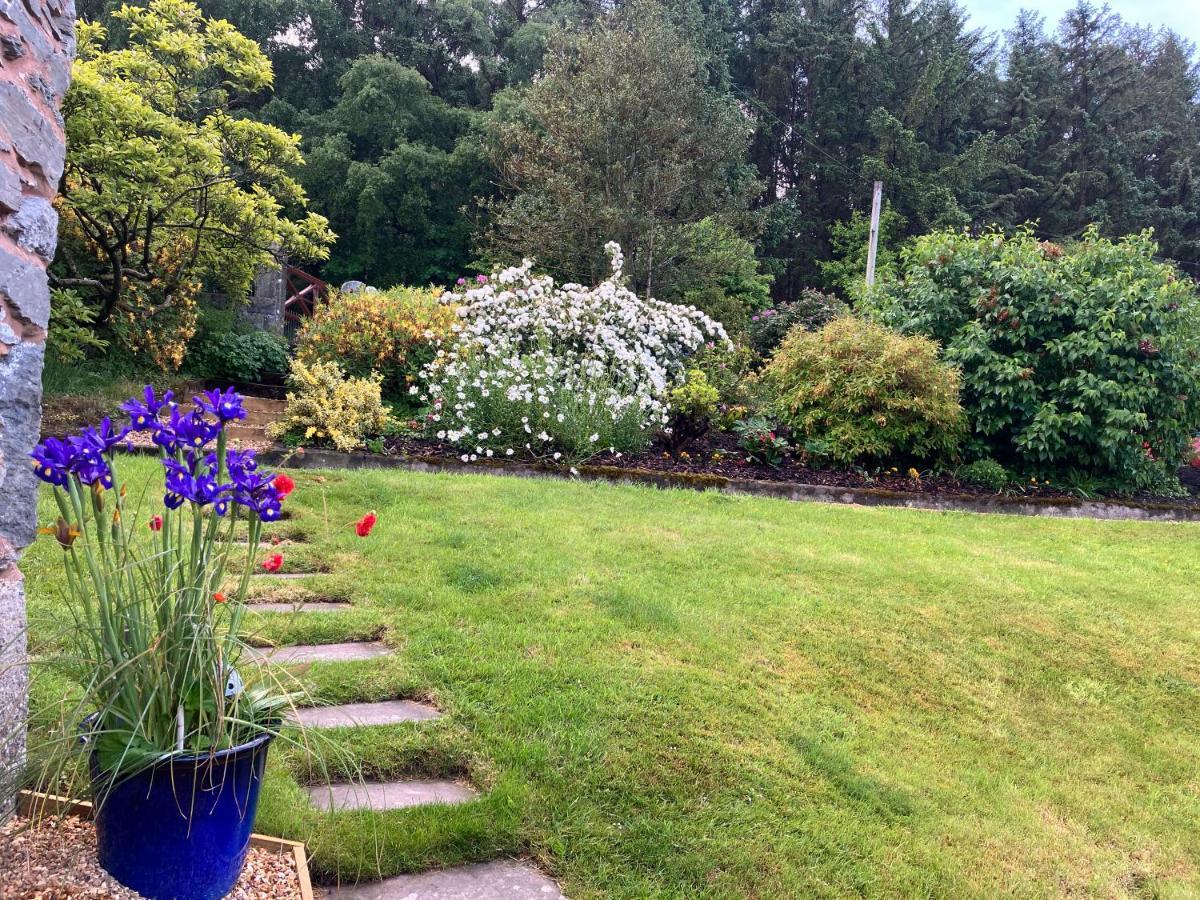 Hares Hideaway At Coed Moelfa Bed and Breakfast Corwen Εξωτερικό φωτογραφία