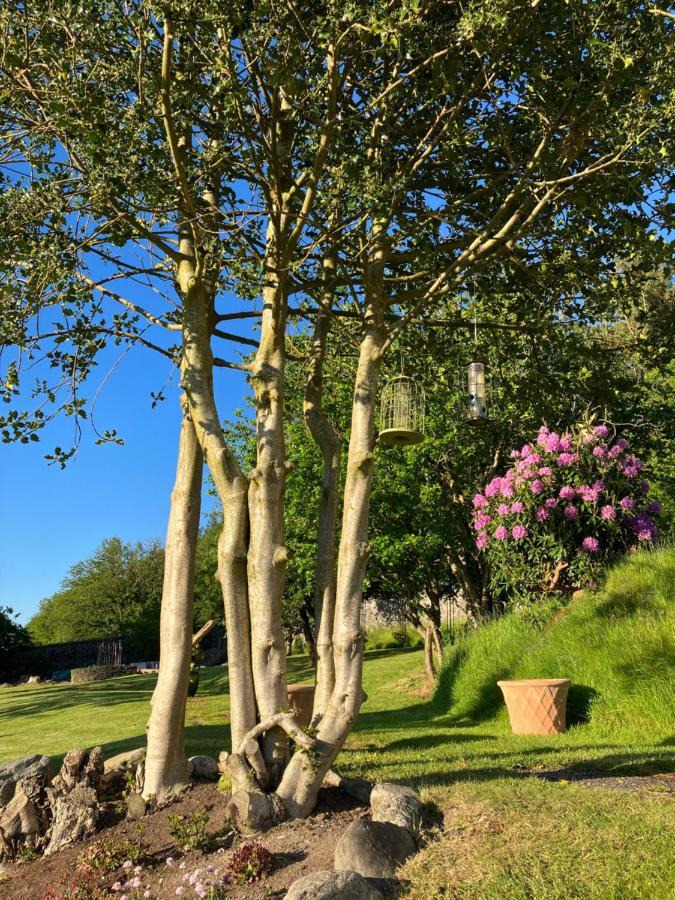 Hares Hideaway At Coed Moelfa Bed and Breakfast Corwen Εξωτερικό φωτογραφία