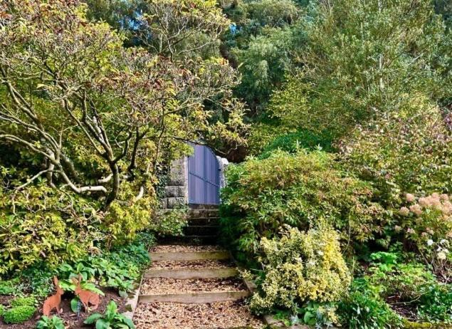 Hares Hideaway At Coed Moelfa Bed and Breakfast Corwen Εξωτερικό φωτογραφία