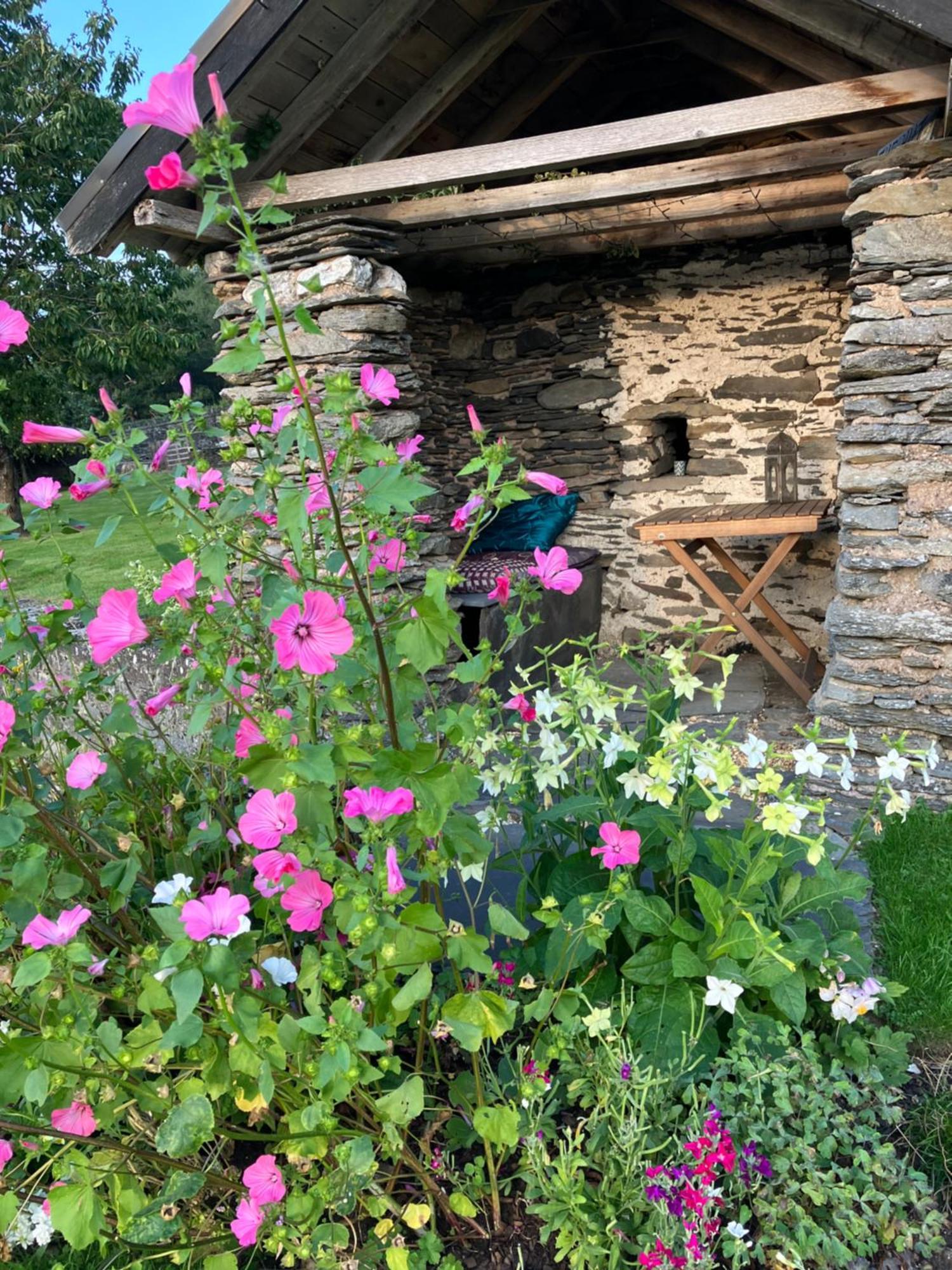 Hares Hideaway At Coed Moelfa Bed and Breakfast Corwen Εξωτερικό φωτογραφία
